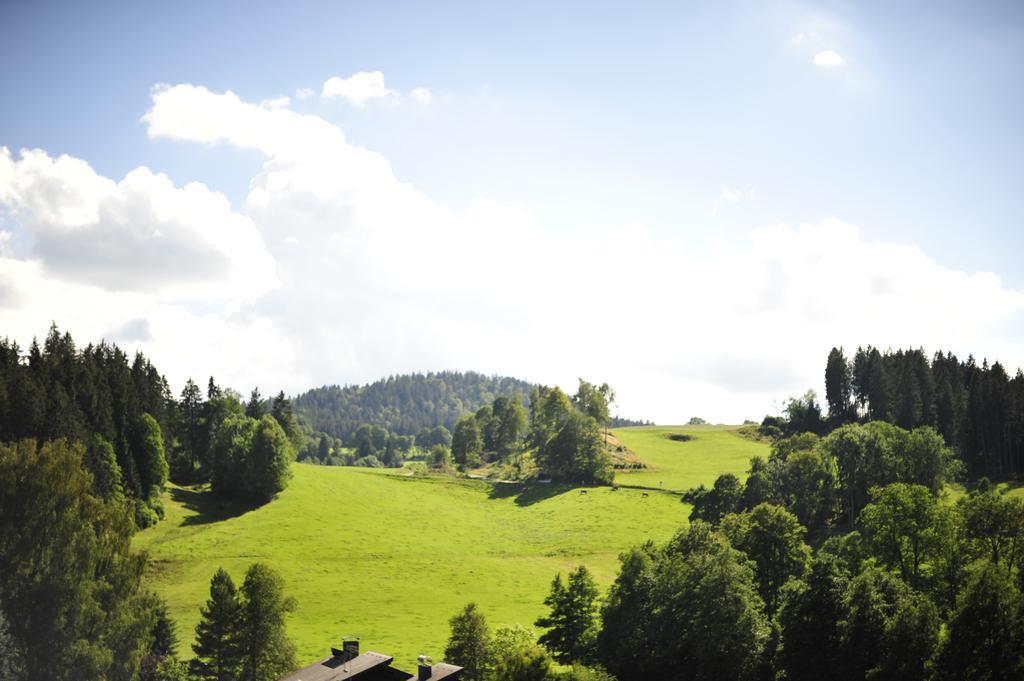 Ferien Residenz Bergfried Ξενοδοχείο Hinterzarten Εξωτερικό φωτογραφία